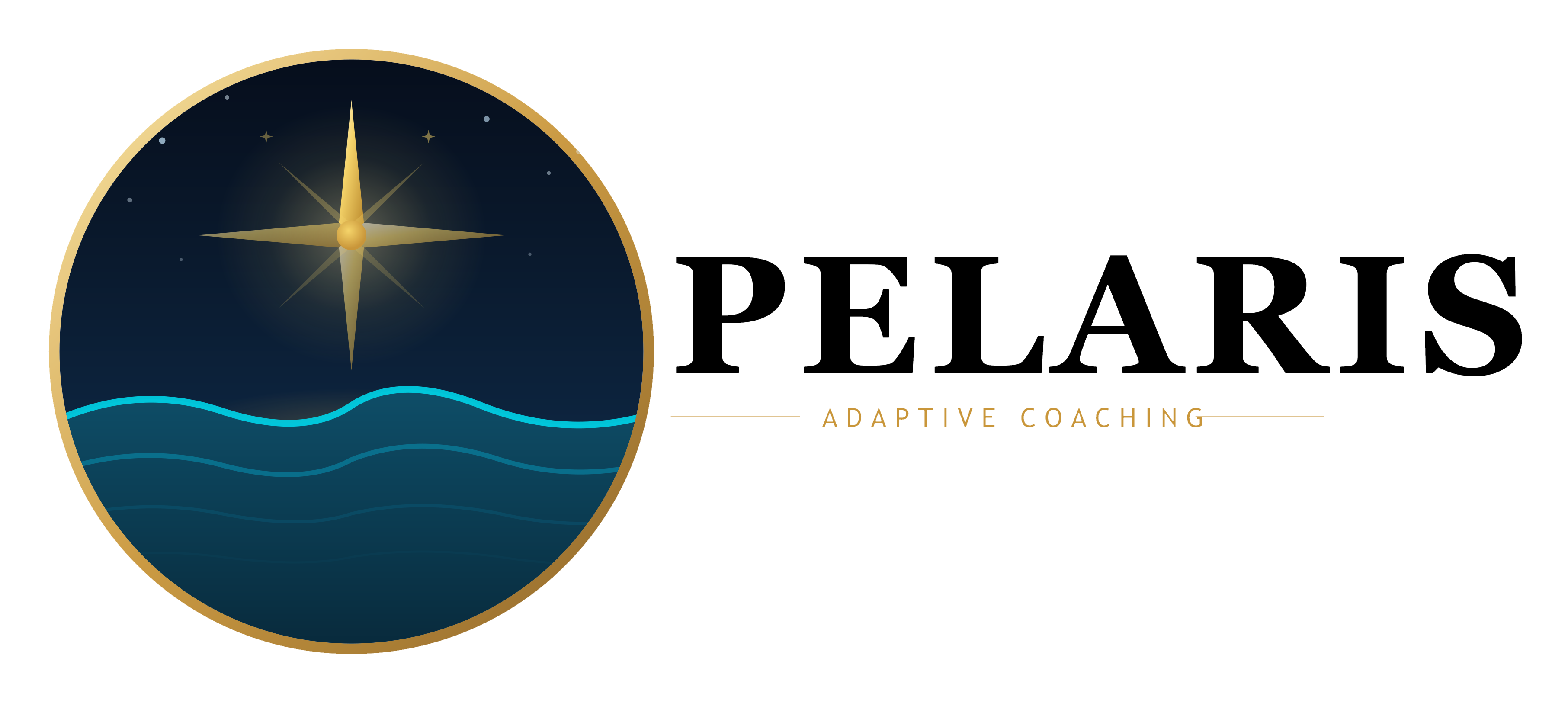 Preview of pelaris.io