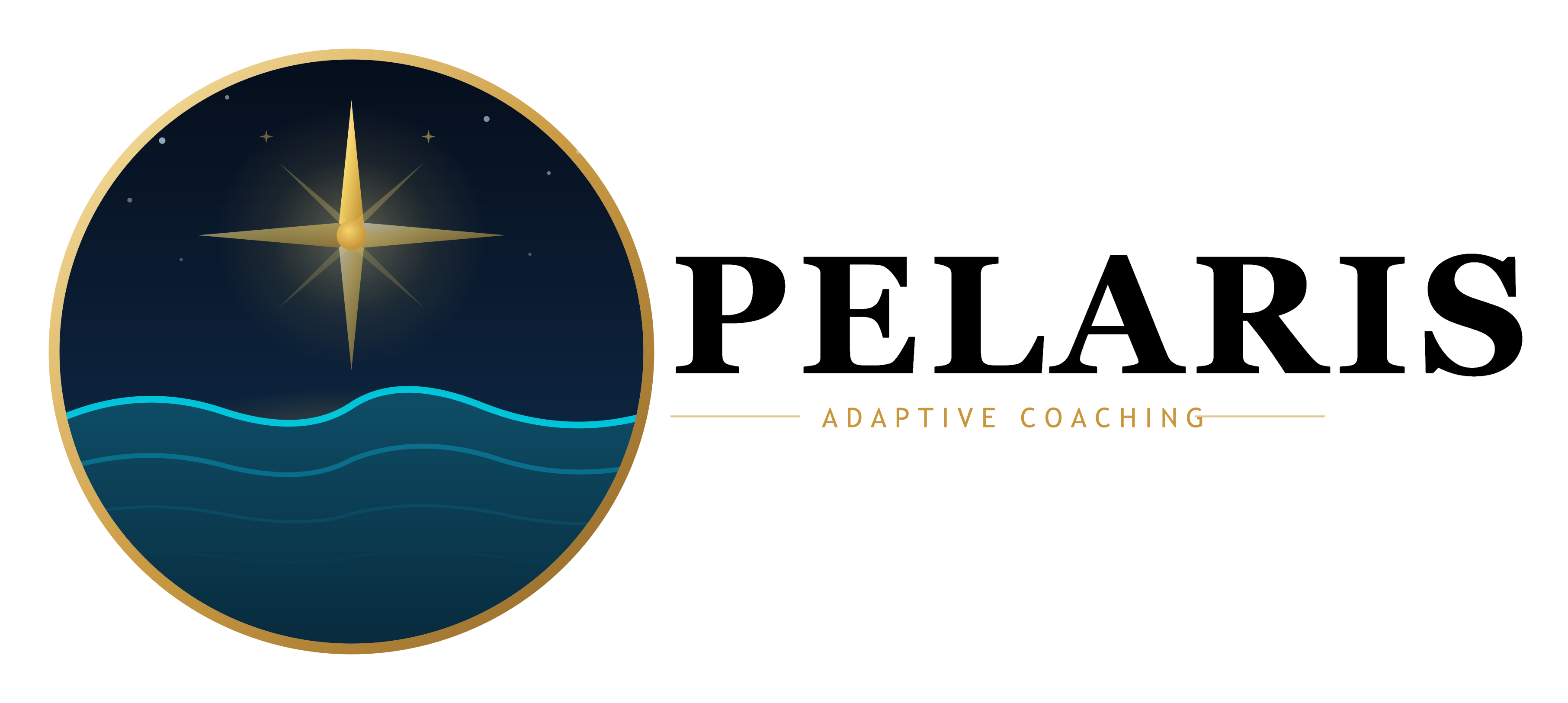 Pelaris wordmark for light backgrounds